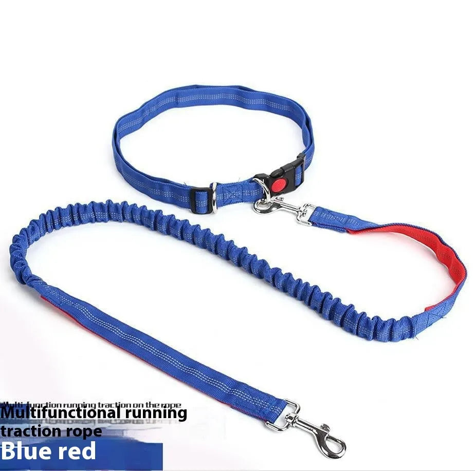 Grey and green elastic dog leash with reflective strip, showing clip and 2.5cm nylon width.