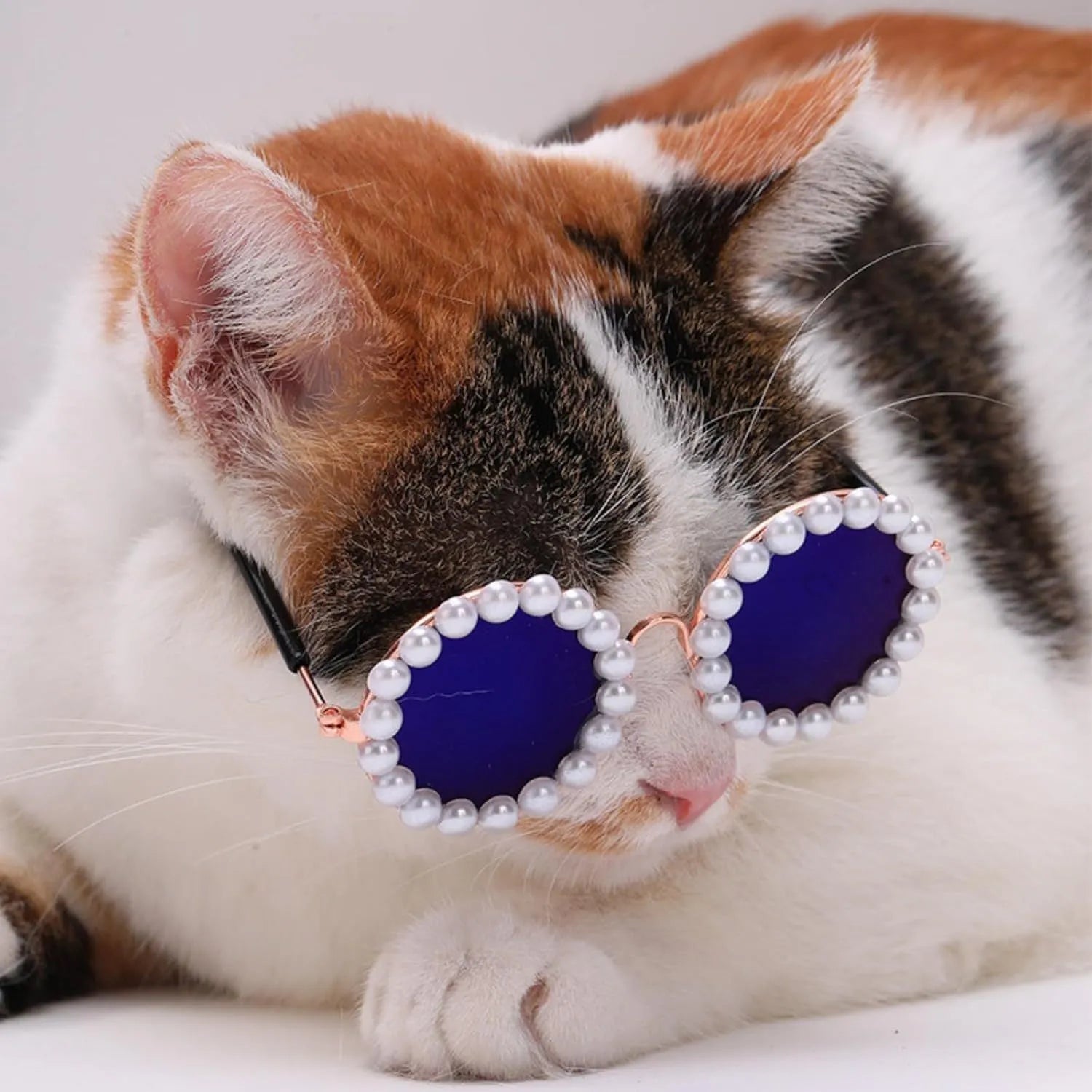 Pearl-rimmed round sunglasses for cats and dogs in multiple colours as costume accessories