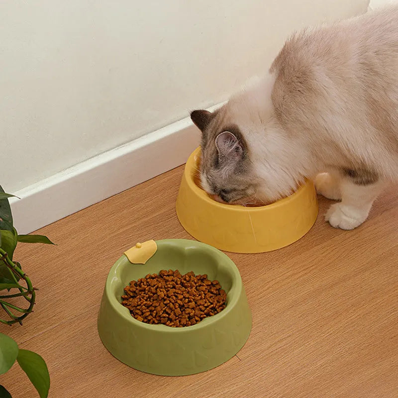 Plastic double pet bowl with flower design in blue colour showing food and water compartments