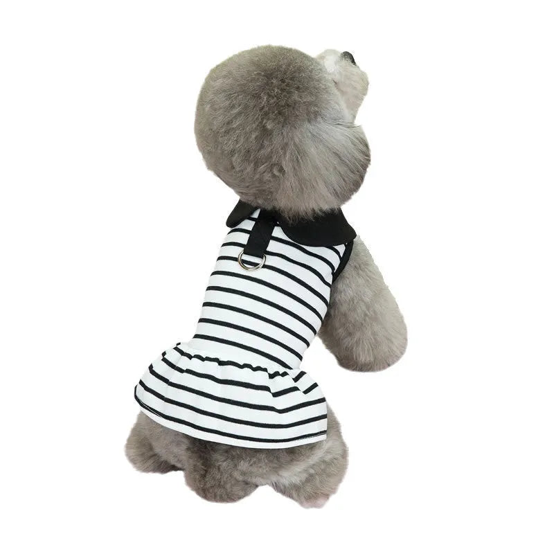 Dog wearing cotton summer stripes T-shirt and matching skirt set