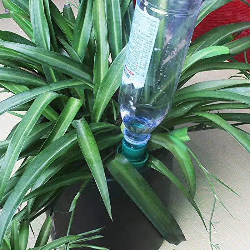 Green ceramic plant water dripper designed for cola bottle irrigation systems