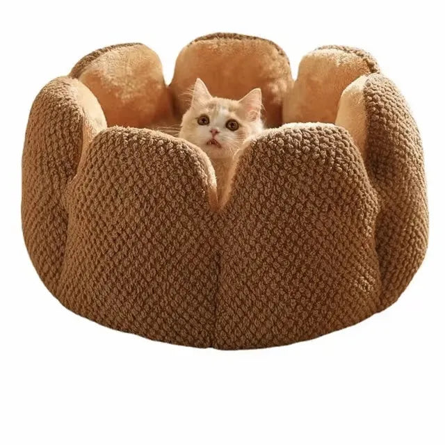 Green cactus petal shape plush pet bed for cats and dogs on hardwood floor