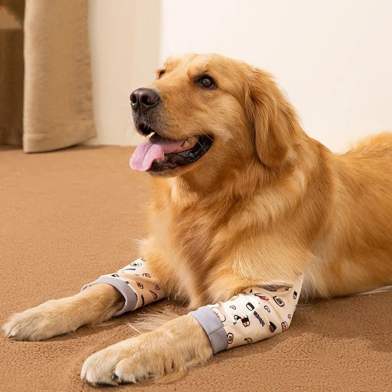 Blue dog knee protector wrap with thick elbow padding and adjustable plastic buckle, shown with coordinating scarf