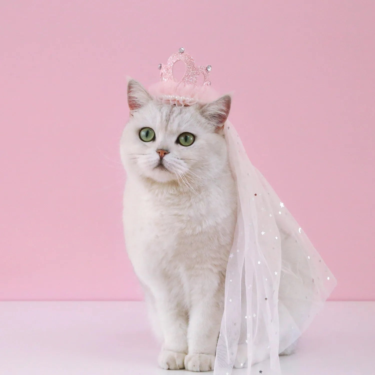 Pet cat wearing a princess crown headdress with a soft pink veil on a fabric headband.