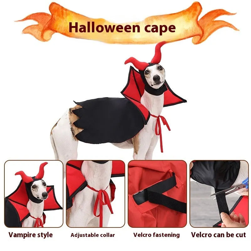 Black vampire cloak and hat costume set for a small dog or cat on Halloween.