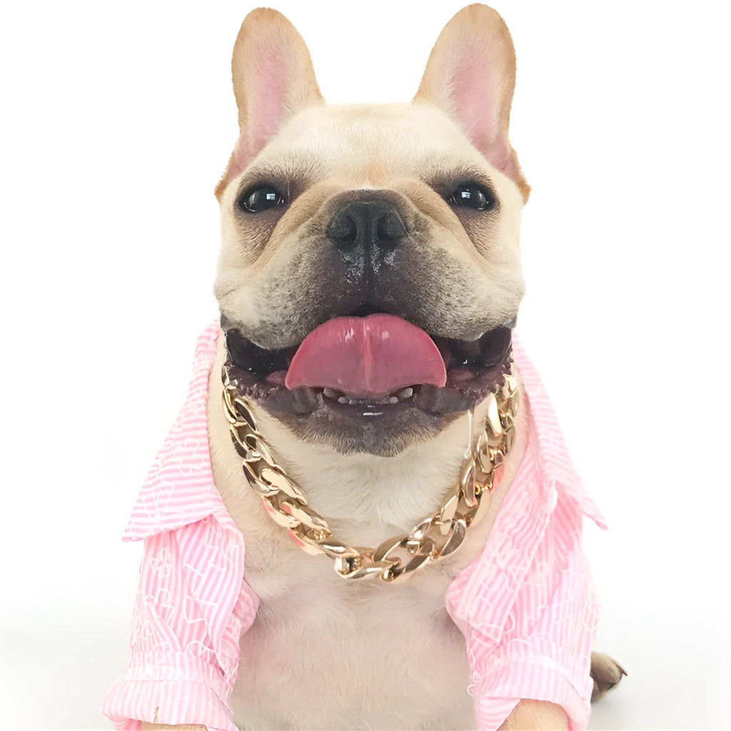 Geometric chain dog collar with gold finish and adjustable buckle for small to medium-sized dogs
