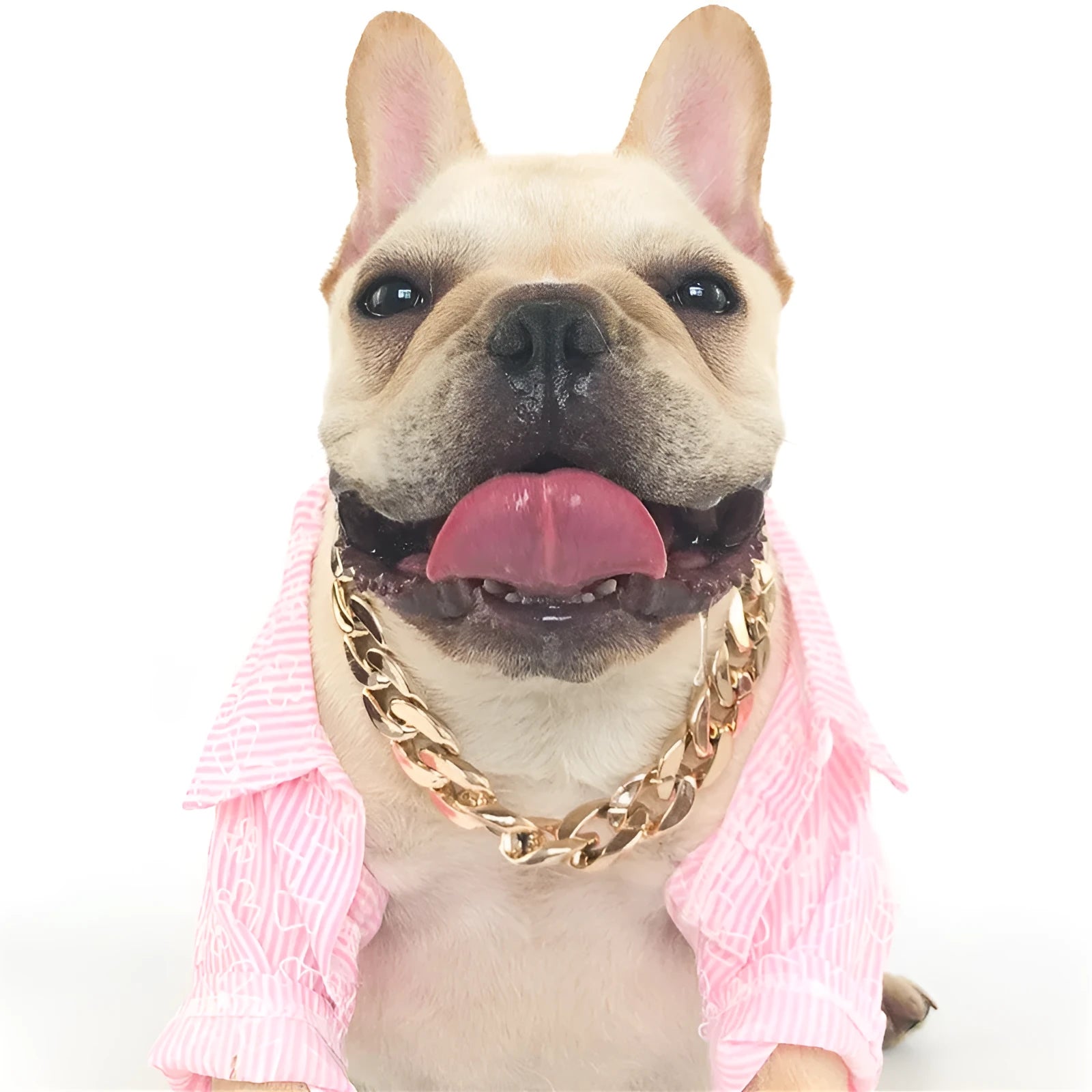 Geometric chain dog collar with gold finish and adjustable buckle for small to medium-sized dogs