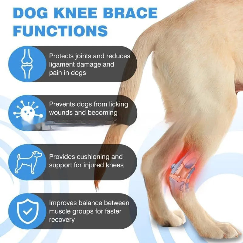 Black polyester pet leg guard for ACL rehabilitation and joint protection in L, M, XL sizes