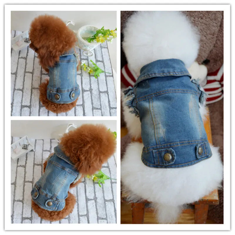 Denim dog vest with retro scratch pattern for small breed pets in dark and light colour options