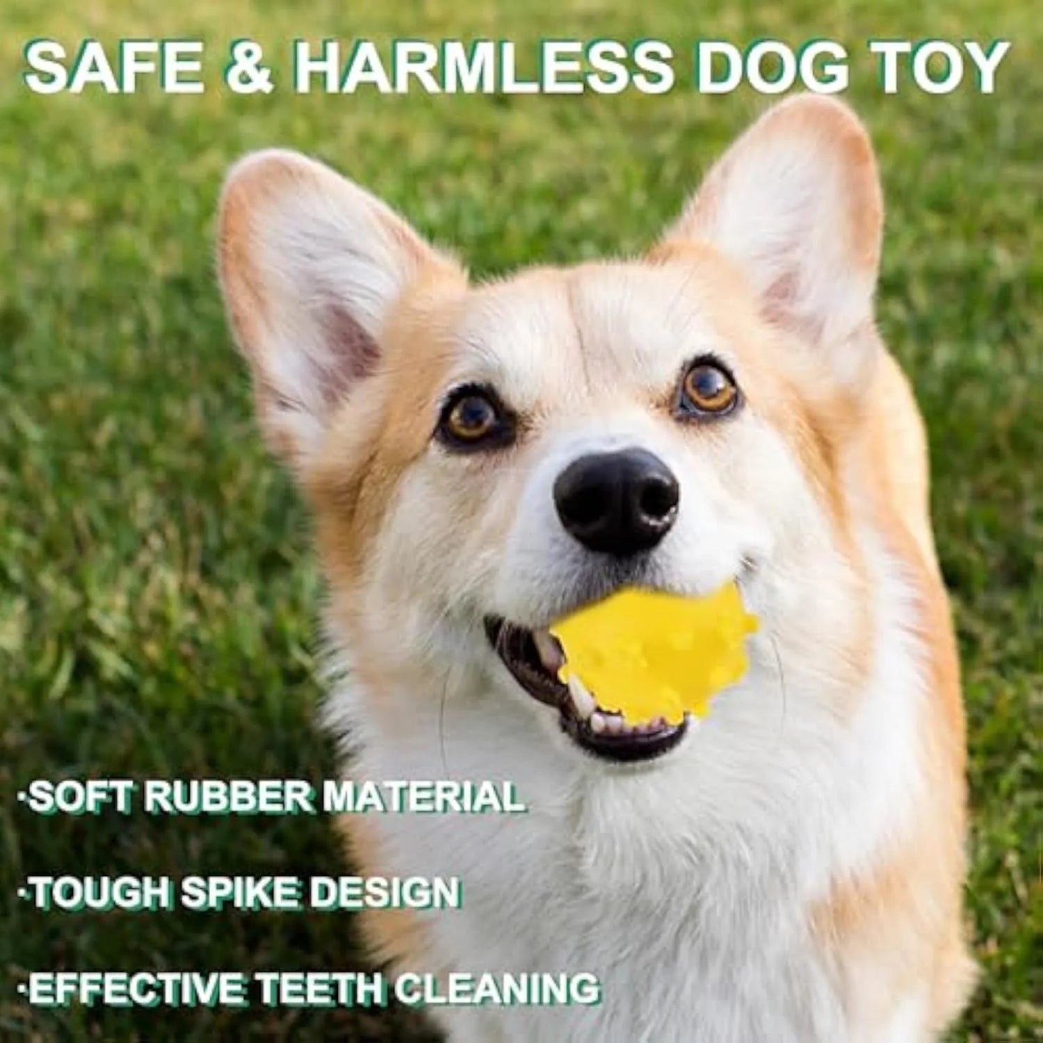 Bright blue, green, pink and yellow spiky dog balls with paw print dimples for small breed chewing and fetch.