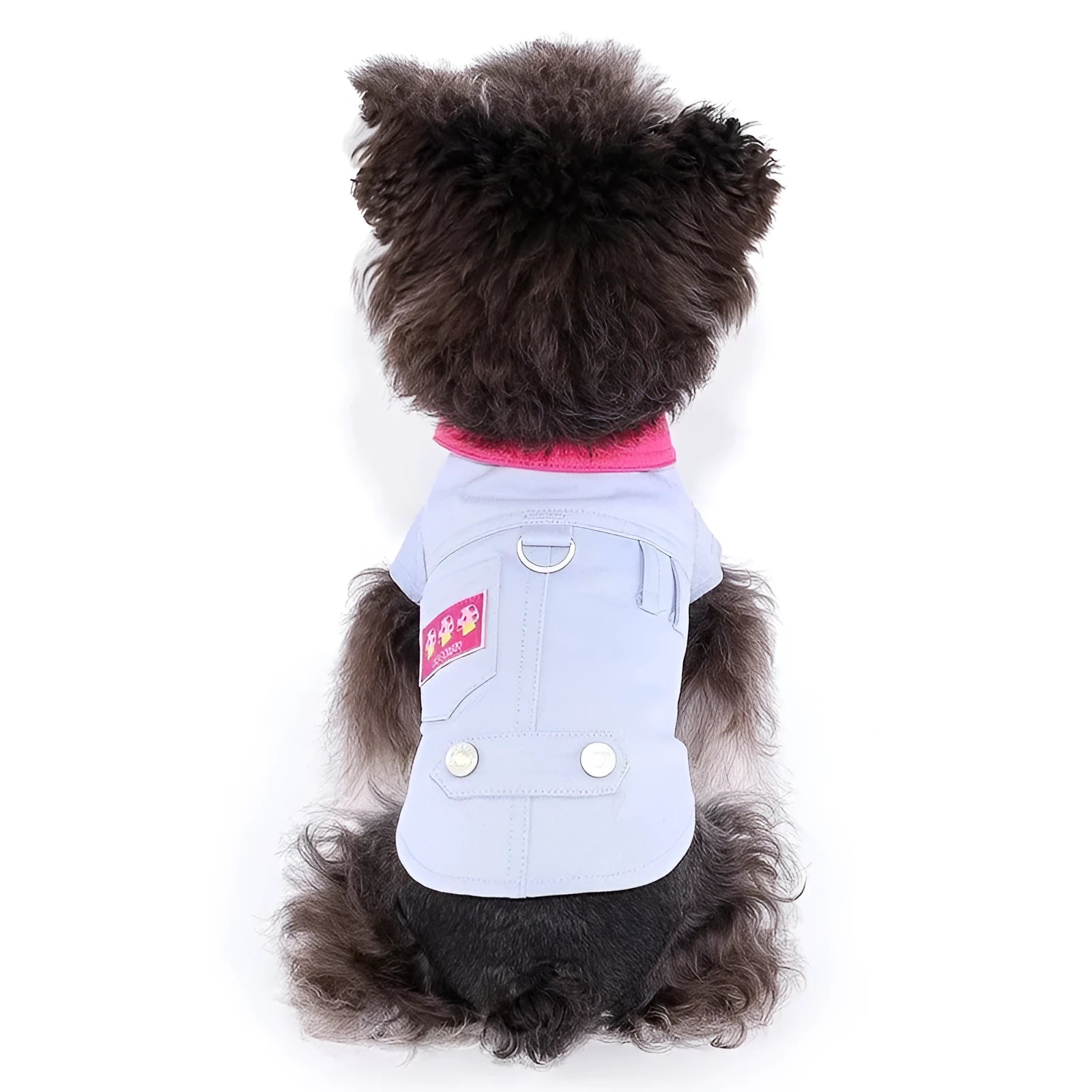 Blue and purple polyester dog vest with traction ring for small breeds in summer