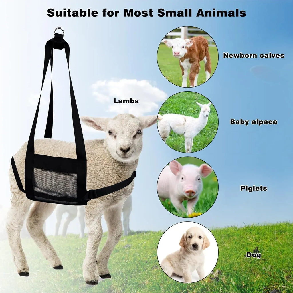 Black calf and large dog weighing sling laid flat showing its 150 cm length and 35 cm width