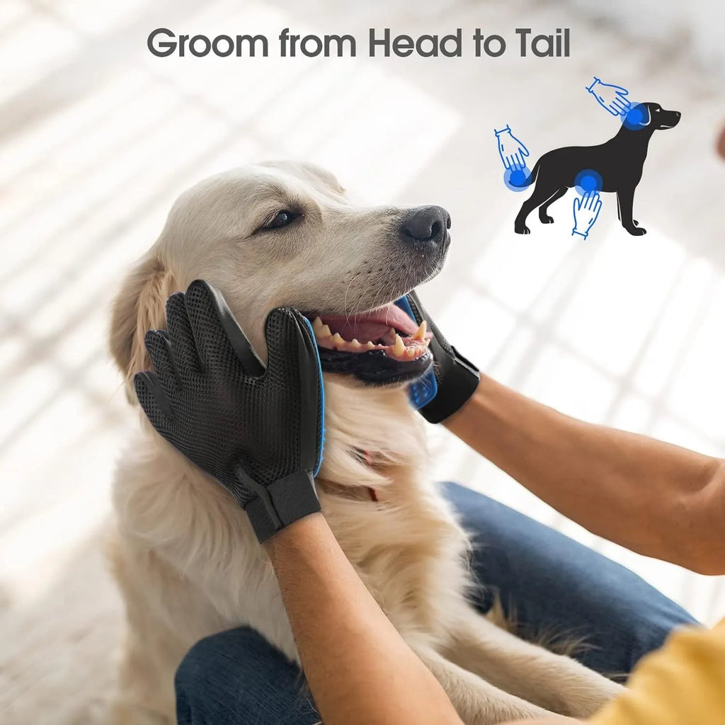 Blue pet grooming gloves with silicone tips for brushing and bathing dogs and cats.