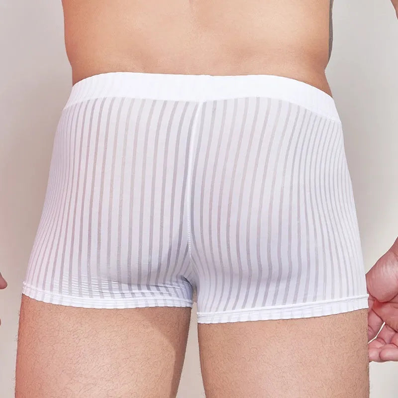 Men's striped underwear set in black, white, and dark grey colours showing thin transparent nylon fabric