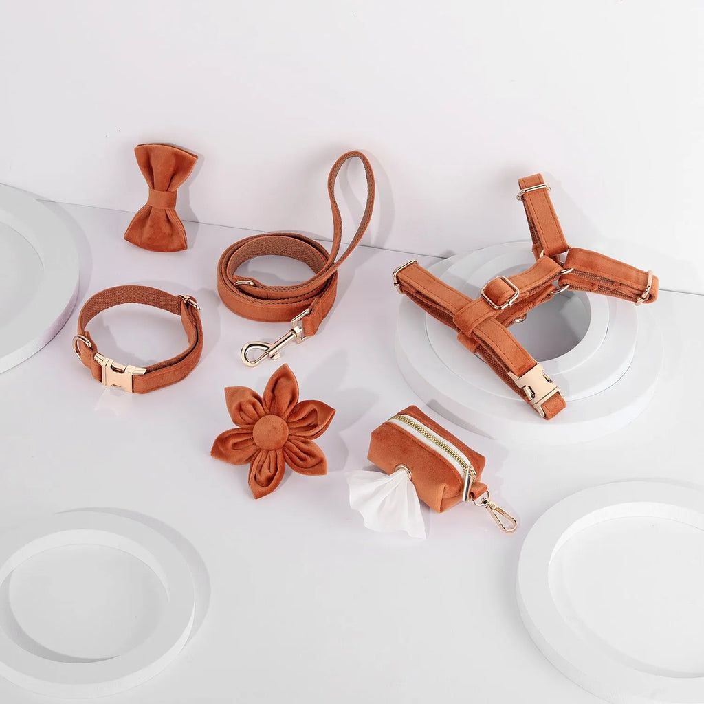 Classic velvet soft pet collar traction rope set with matching harness and accessories in multiple colour options