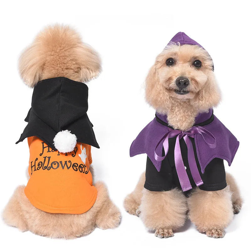 Halloween pumpkin dog costume with black and orange cotton sweater and matching shawl