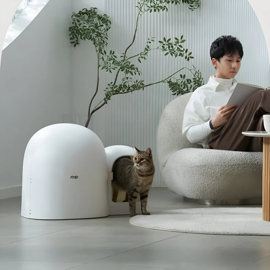 Fully enclosed oversized cat litter box in Moss Green colour