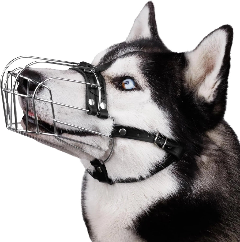 Black metal basket-style dog muzzle sized for a Golden Retriever or German Shepherd.