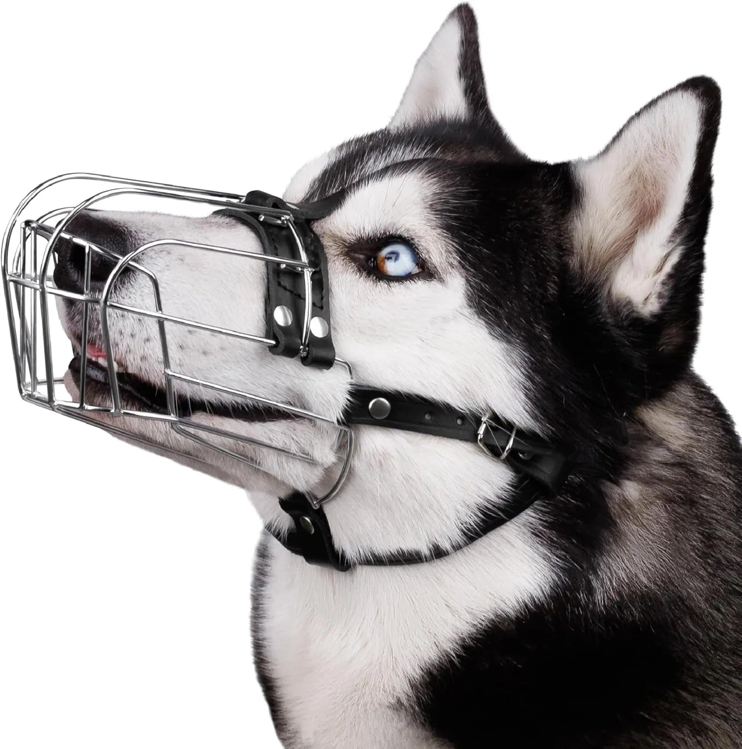 Black metal basket-style dog muzzle sized for a Golden Retriever or German Shepherd.