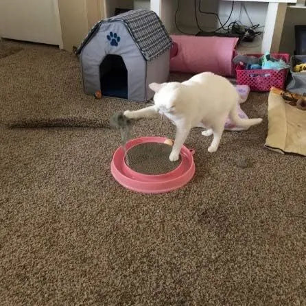 Blue cat scratcher toy with ball track, replaceable scratch pad, and mouse swatter accessory on white background