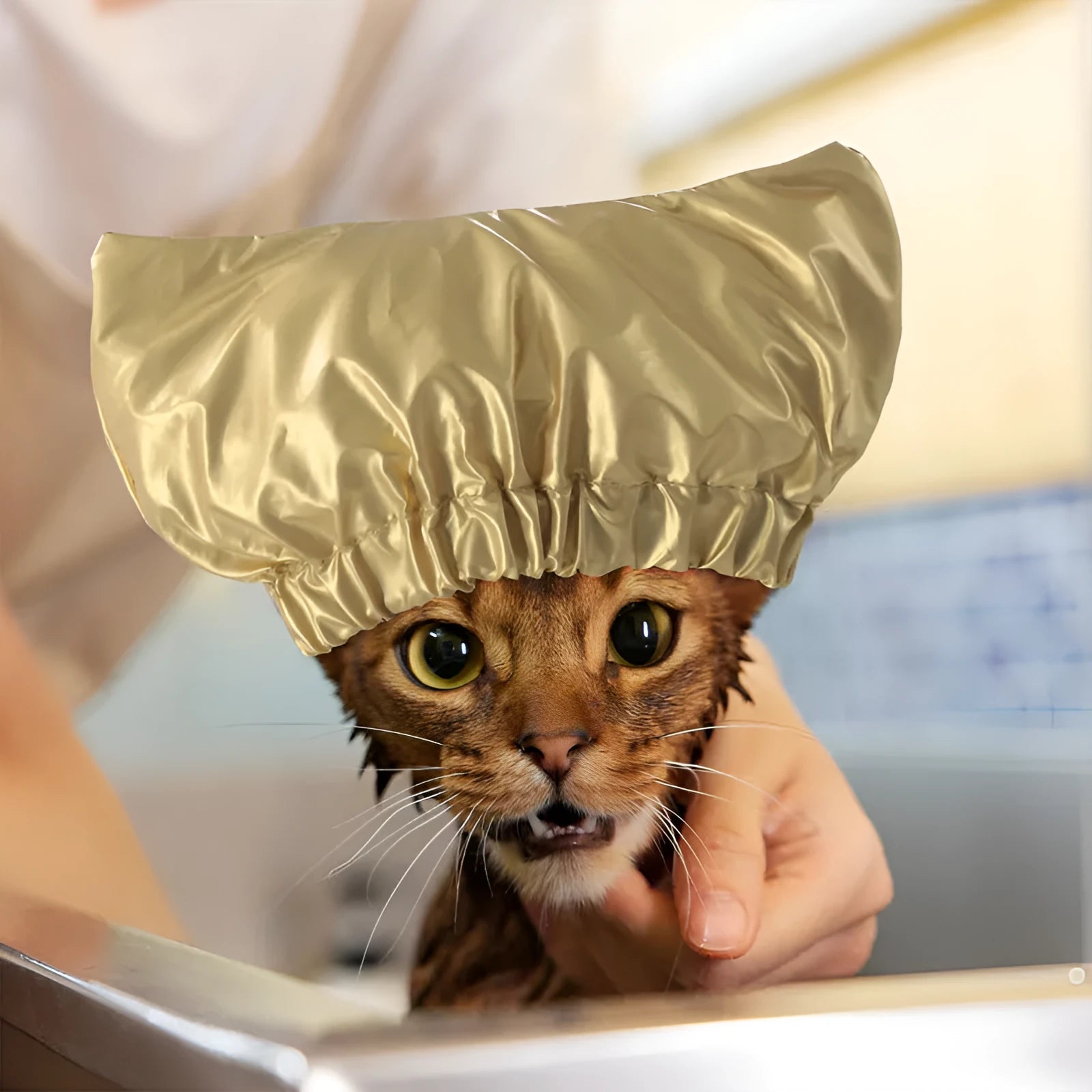 Adjustable ear-proof waterproof shower cap for cats and dogs in silver colour with non-woven fabric construction