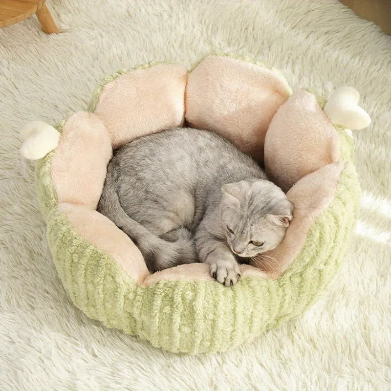 Purple cactus-shaped cat litter kennel with removable base, measuring 60x35cm