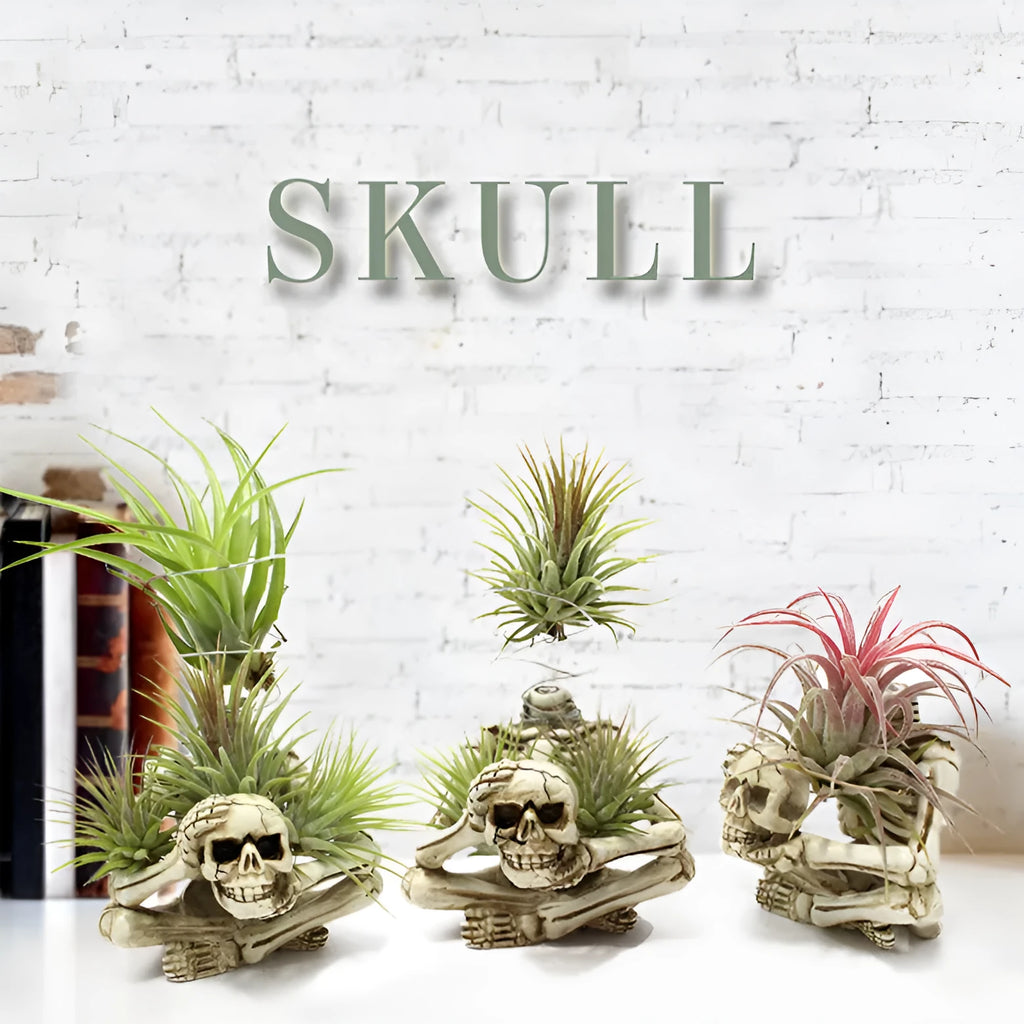 Gothic skull-shaped resin bracket for holding a soilless tillandsia air plant, with separate iron wall mount.