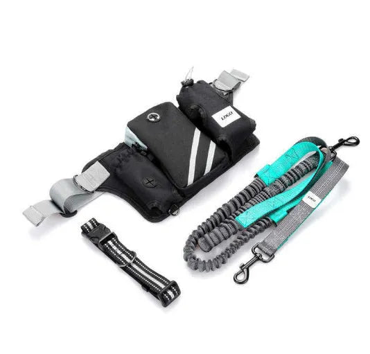 Black nylon pet walking set with waist bag, leash, and collar for outdoor dog training