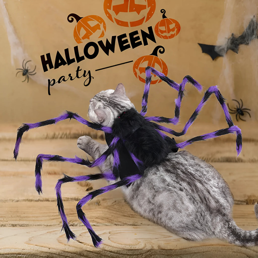 Halloween spider costume for dog or cat with eight legs and full body coverage