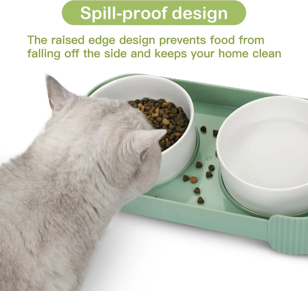 Ceramic elevated cat bowls with 15-degree tilted stand in green, white, or yellow colours