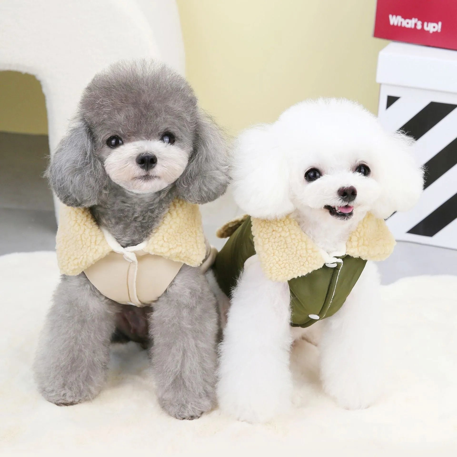 Teddy Cat Nordic fur collar cotton vest in green, draped on a surface showing fur collar and button closures