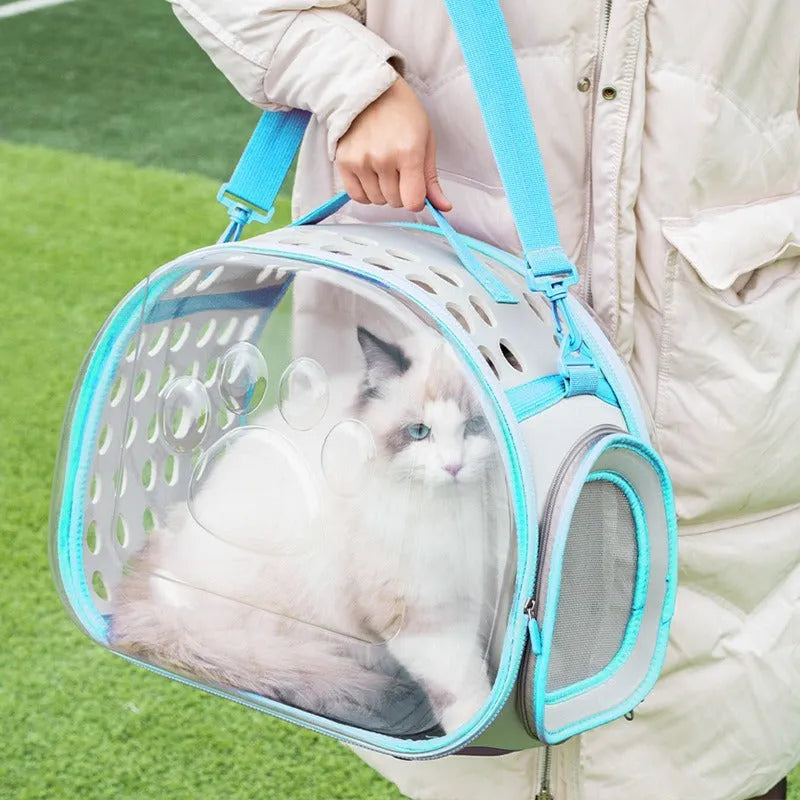 Transparent space capsule backpack cat carrier with hard EVA shell in multiple colour options