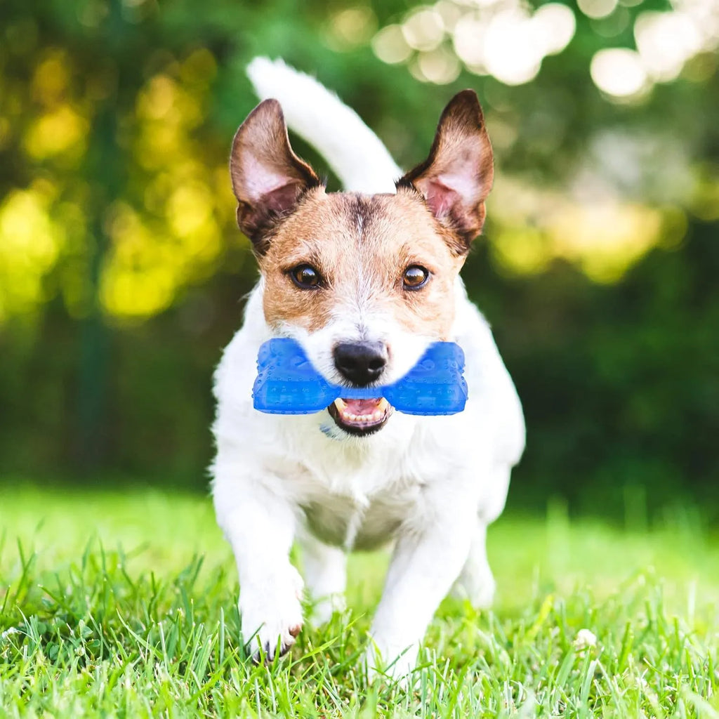 Freezable water-filled dog cooling chew toy in bones and circles designs with treat compartment.