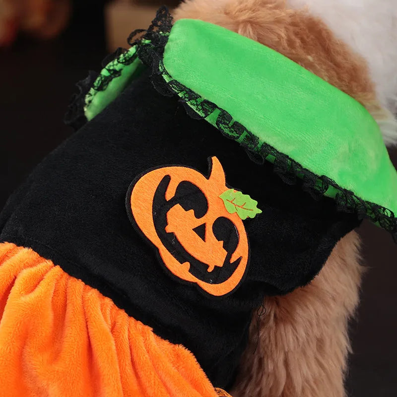 Crystal velvet Halloween pumpkin skirt costume for dogs and cats on mannequin