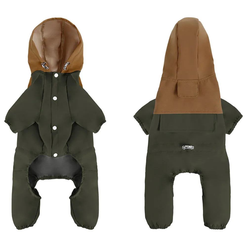 A small dog wearing a khaki coloured British-style waterproof shell jacket outdoors.