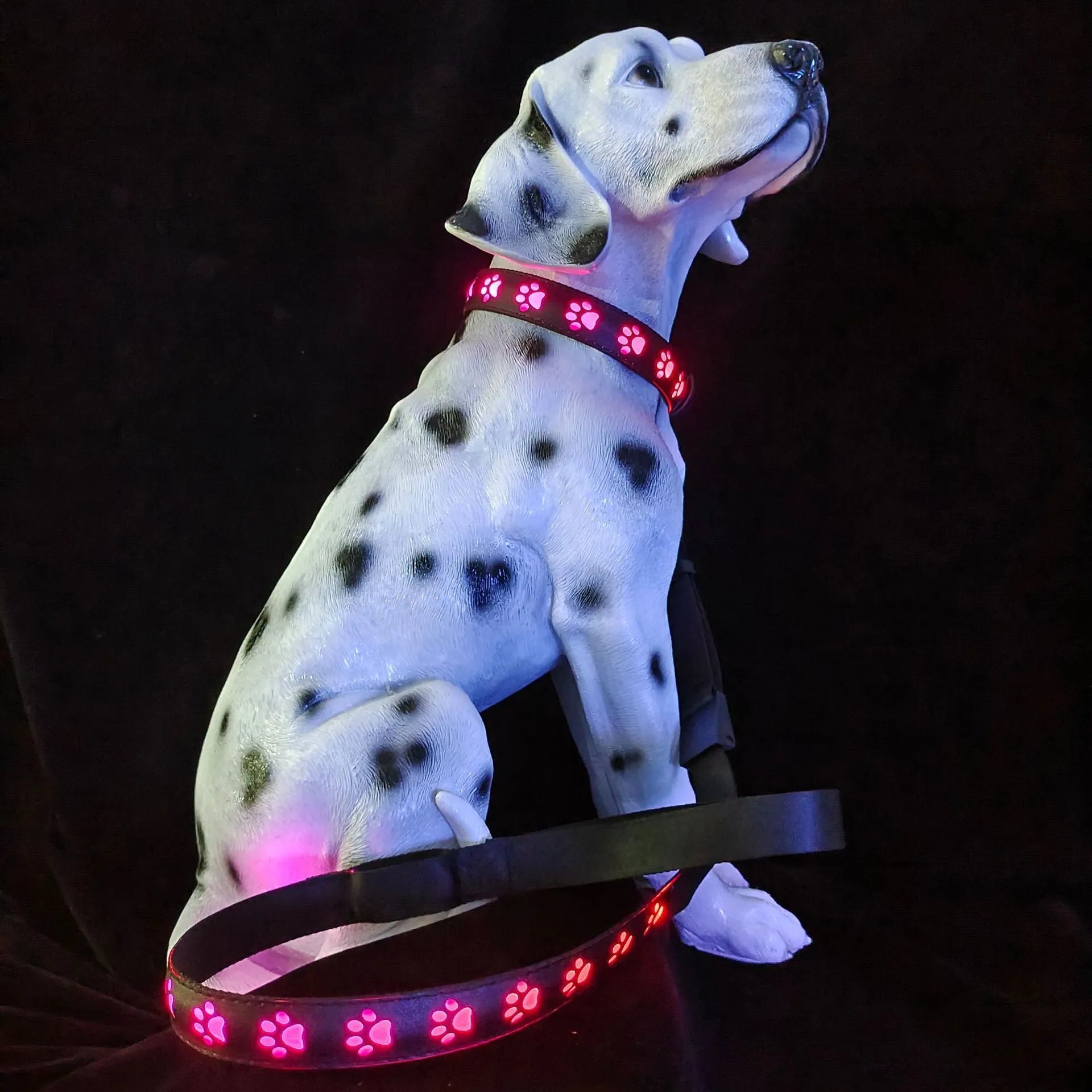 LED luminous dog collar showing seven colour-changing modes on polyester material with USB charging port