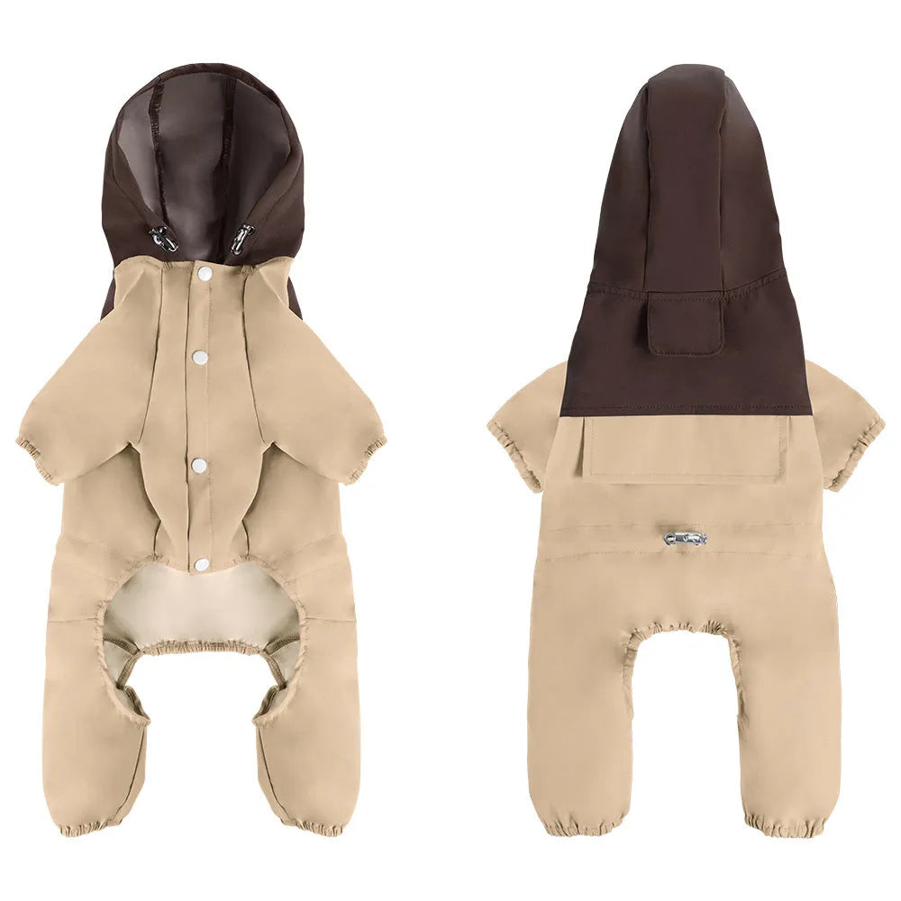 A small dog wearing a khaki coloured British-style waterproof shell jacket outdoors.
