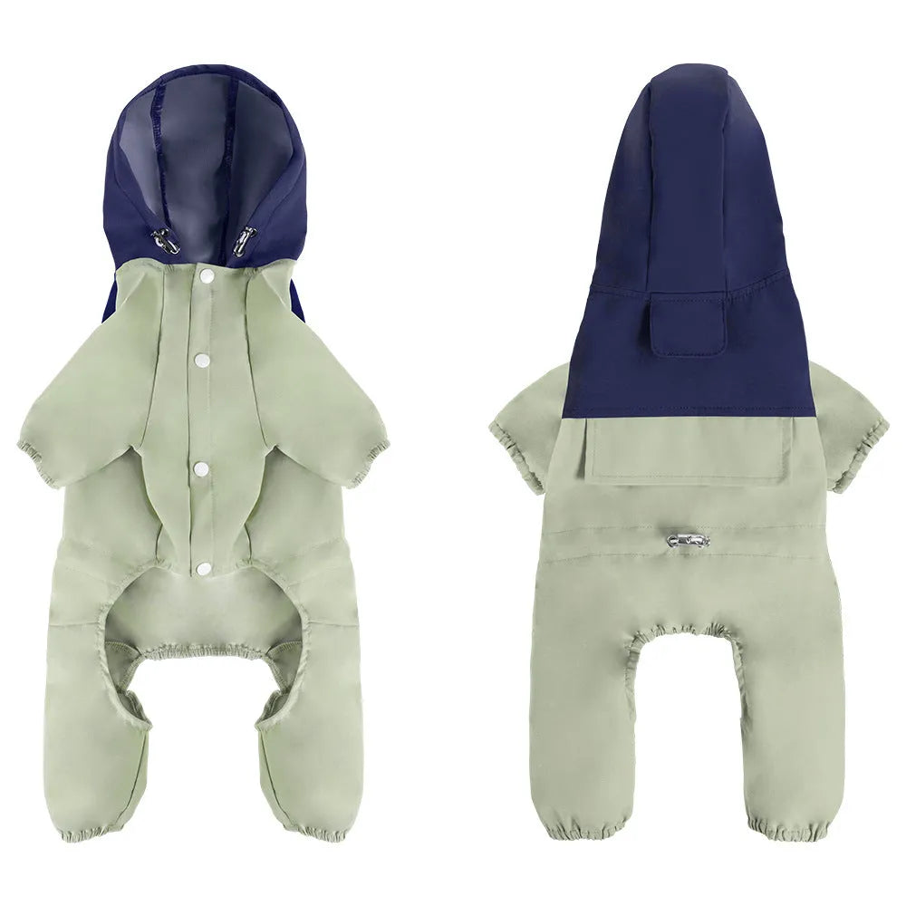 A small dog wearing a khaki coloured British-style waterproof shell jacket outdoors.
