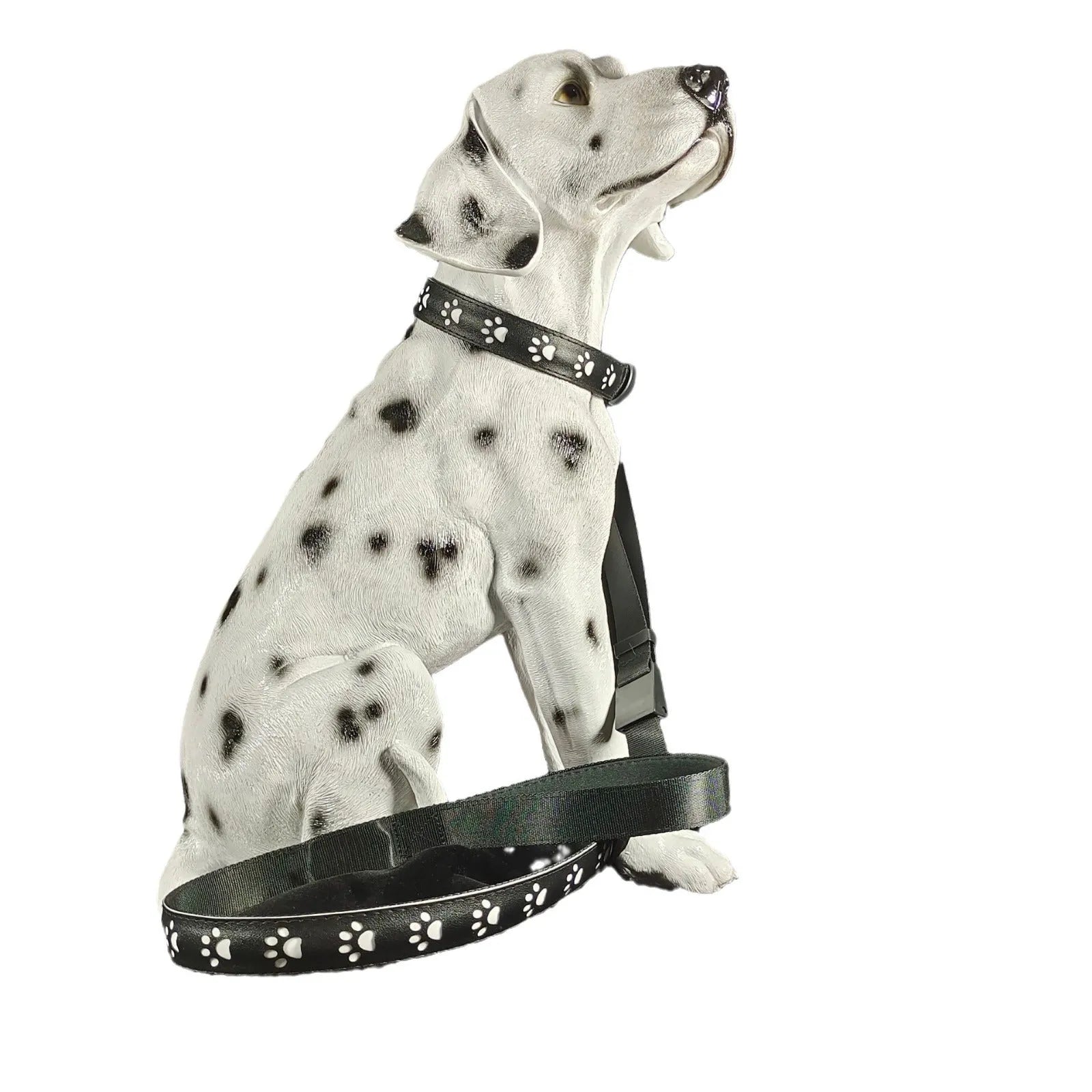 LED luminous dog collar showing seven colour-changing modes on polyester material with USB charging port