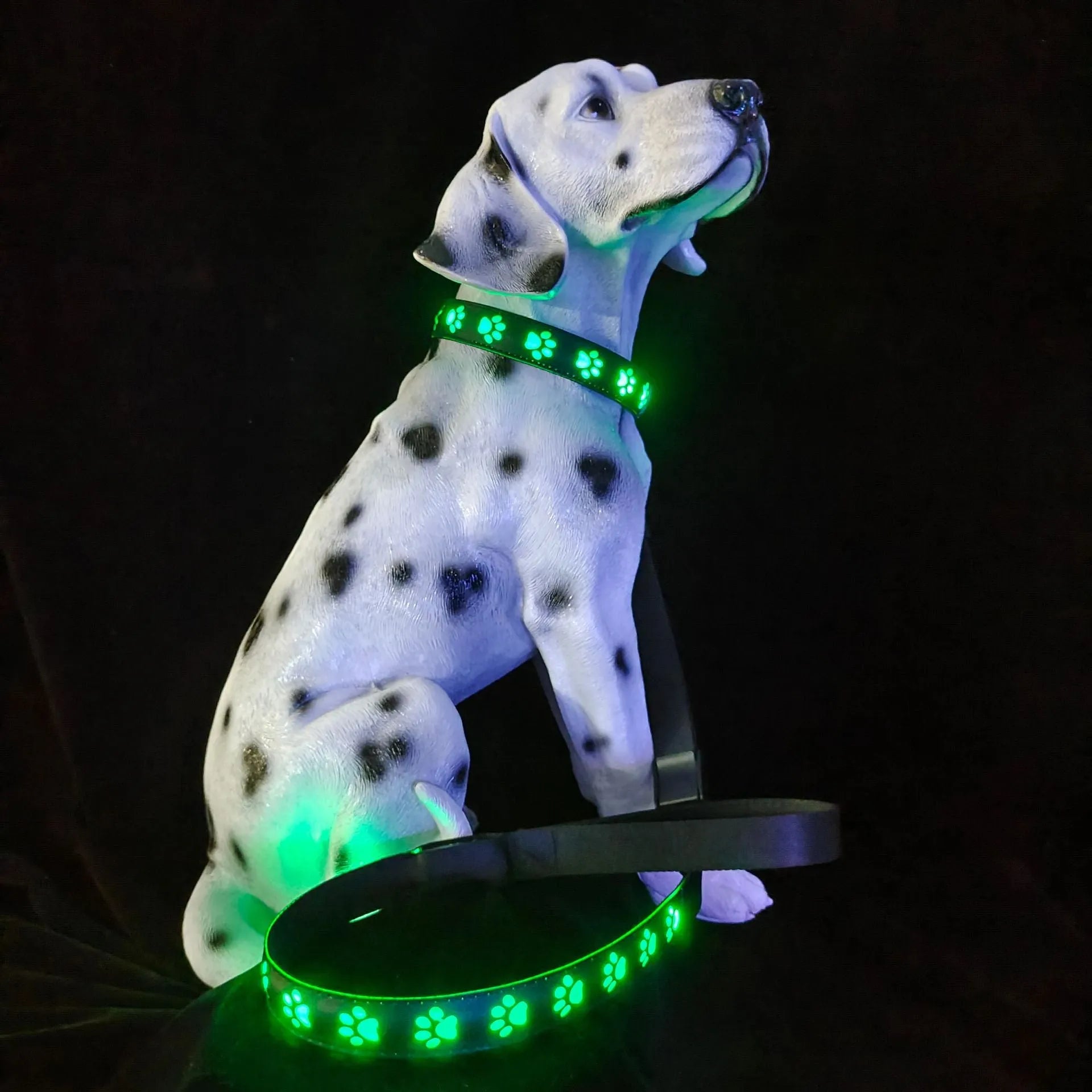 LED luminous dog collar showing seven colour-changing modes on polyester material with USB charging port