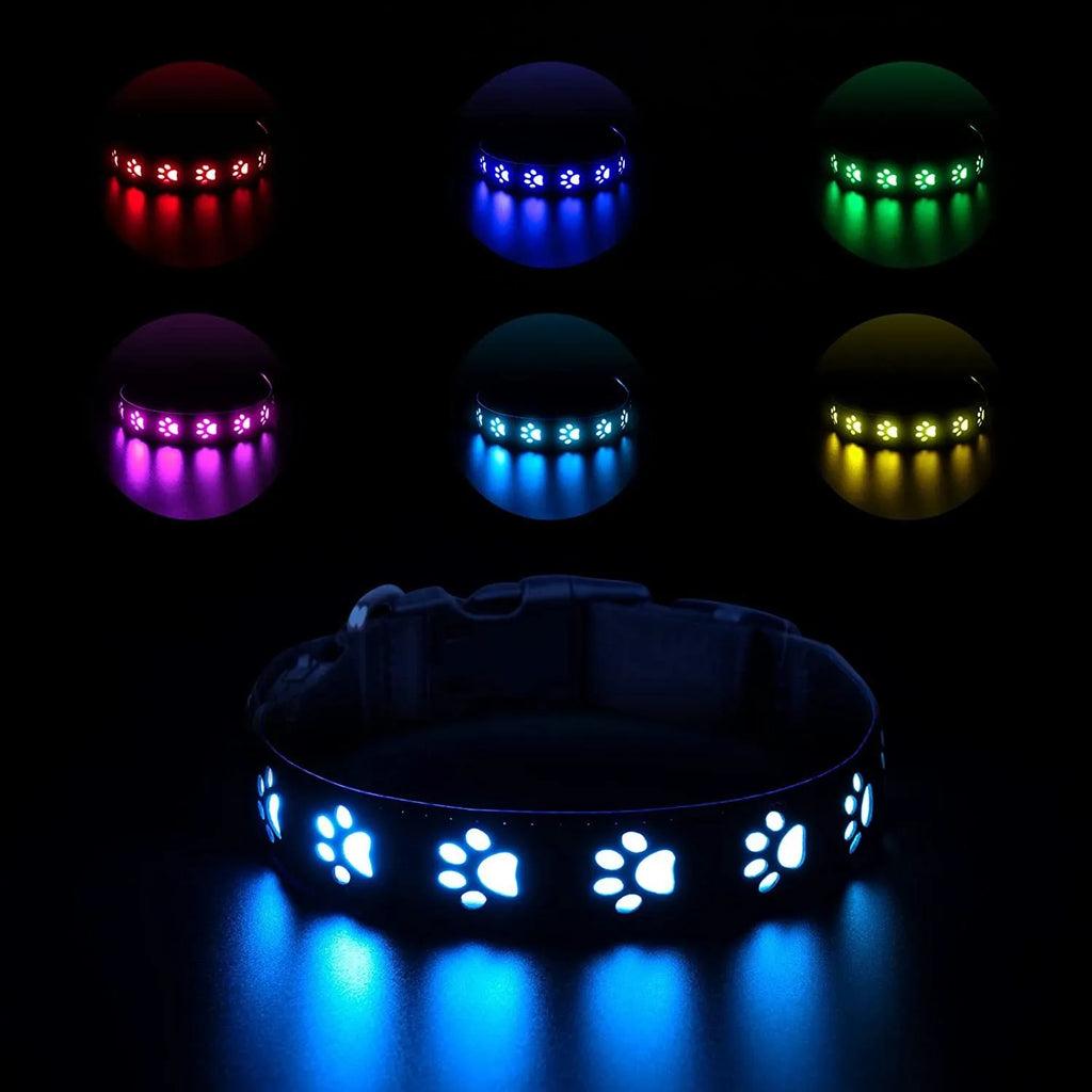 LED luminous dog collar showing seven colour-changing modes on polyester material with USB charging port