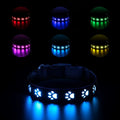 LED luminous dog collar showing seven colour-changing modes on polyester material with USB charging port