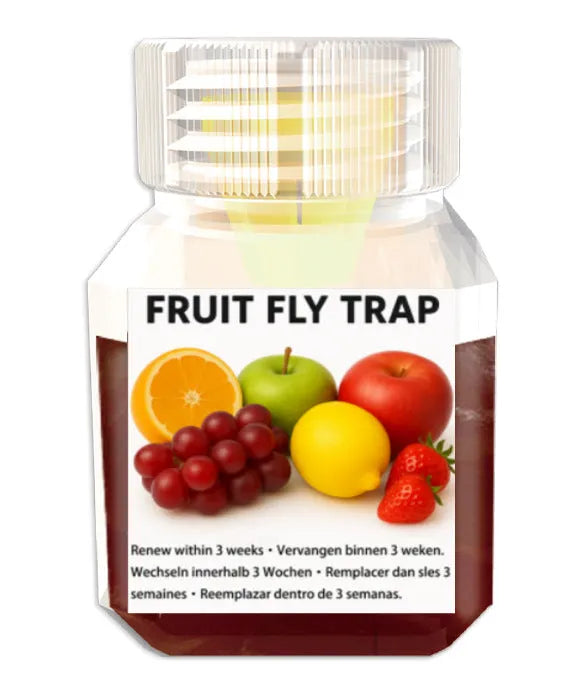 Bottle of fruit fly bait liquid with specification options for indoor pest control