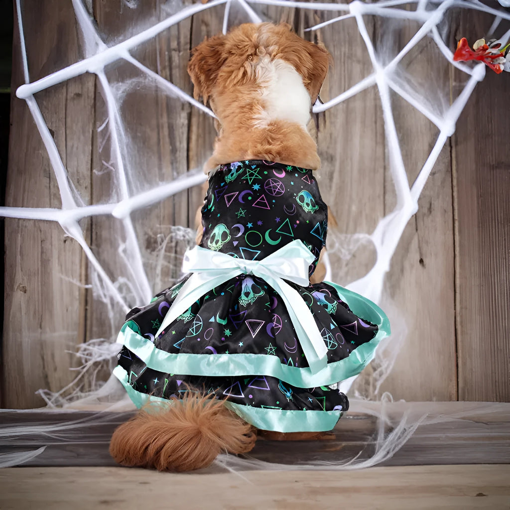 Halloween dog skirt with colourful pumpkin and skull designs in double-layer polyester fabric