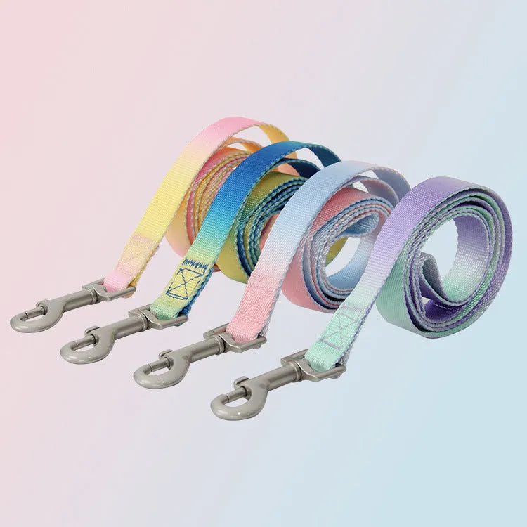 Gradient colour nylon dog leash in pink and yellow, shown as a collar-style lead.