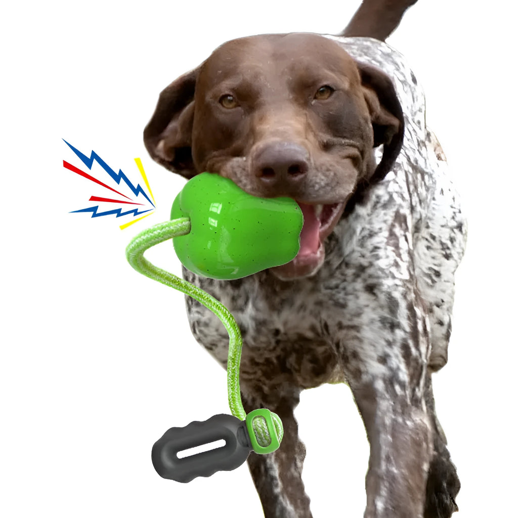 Green plastic dog food dropping ball molar toy with apple design for interactive feeding and chewing