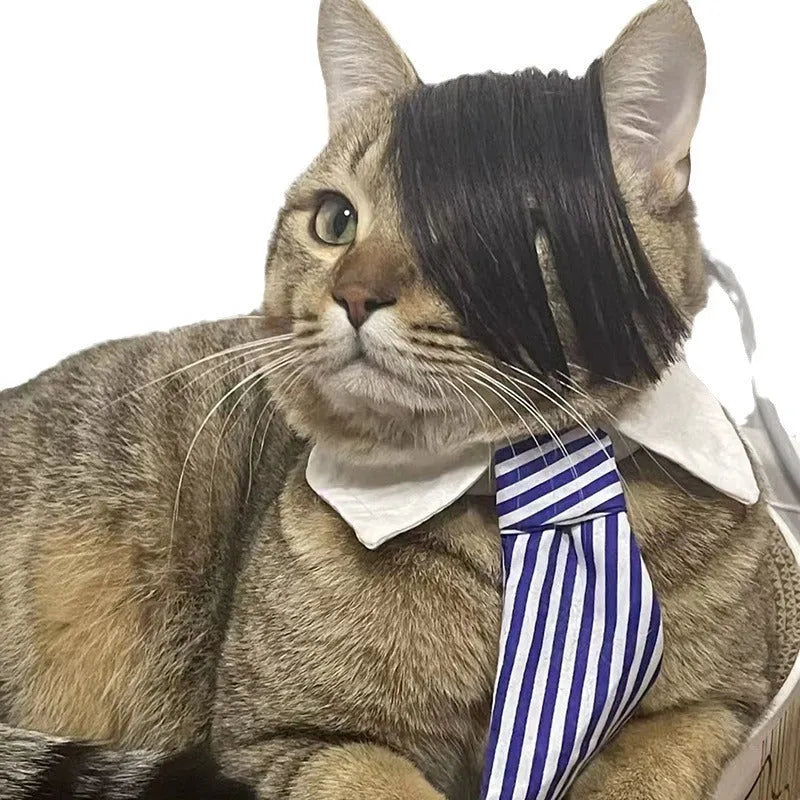 Black imitation braid cat wig for pet fox costume dress up and photoshoots