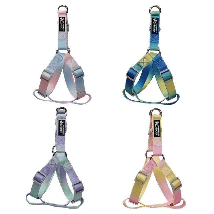 Gradient colour nylon dog leash in pink and yellow, shown as a collar-style lead.