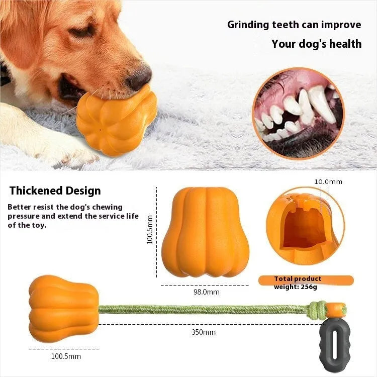 Plastic molar-shaped dog toy with rope attachment in pumpkin colour