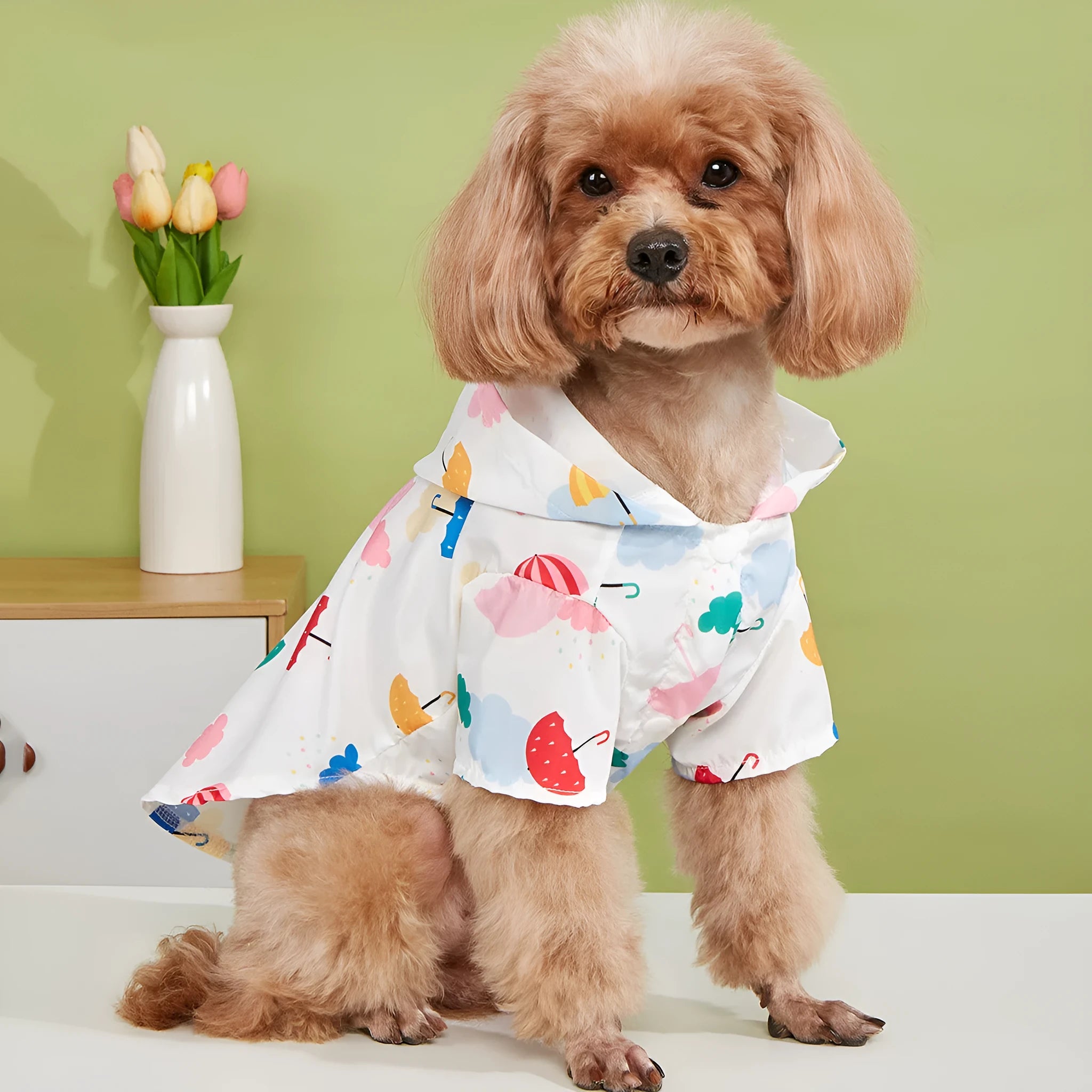 Cartoon umbrella pattern dog raincoat in polyester available sizes XS to XL
